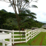 High Quality Decorative Plastic Extruded UPVC Profile PVC Fencing Cheap